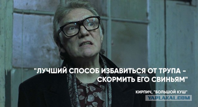 Пропала замгубернатора Херсонской области Екатерина Губарева