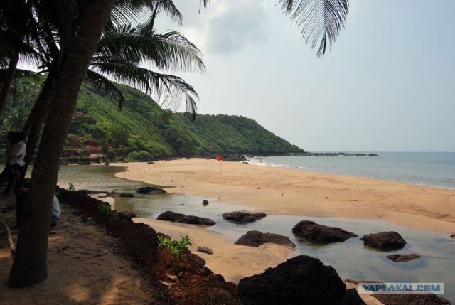 ГоА свои впечатления