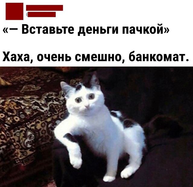 Так себе картинки 27.11.22