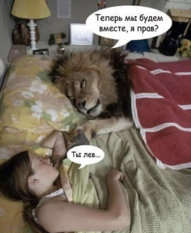 Тупняк на понедельник. 17 шт.