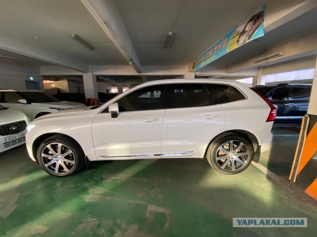 Полвека универсалу Volvo 1800 ES