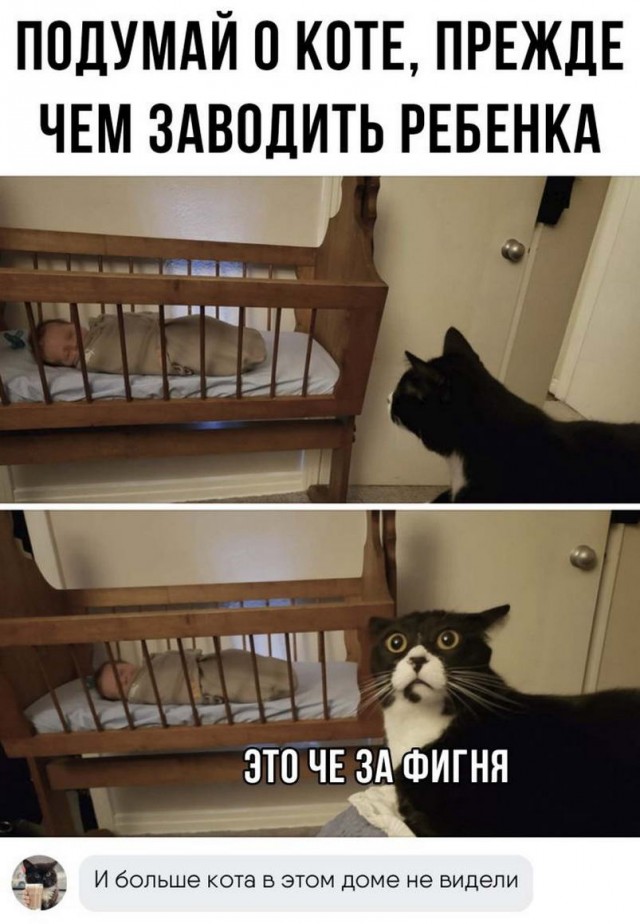 Немного картинок для настроения
