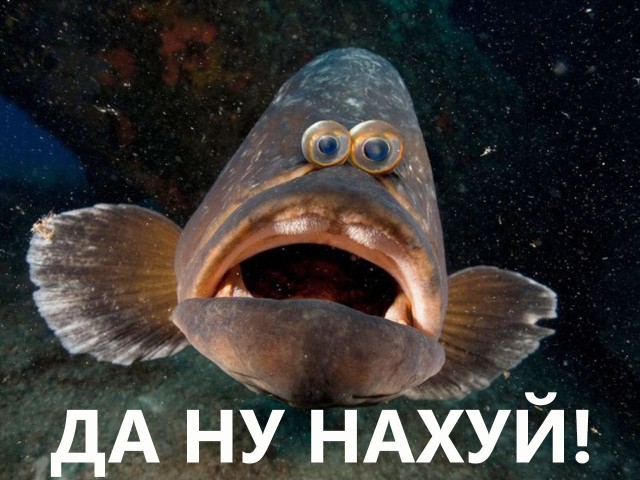 Двоюрдного племянника Путина еще на пять лет оставили в правлении «Газпрома»
