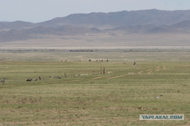 В Монголию на мотоциклах 2006