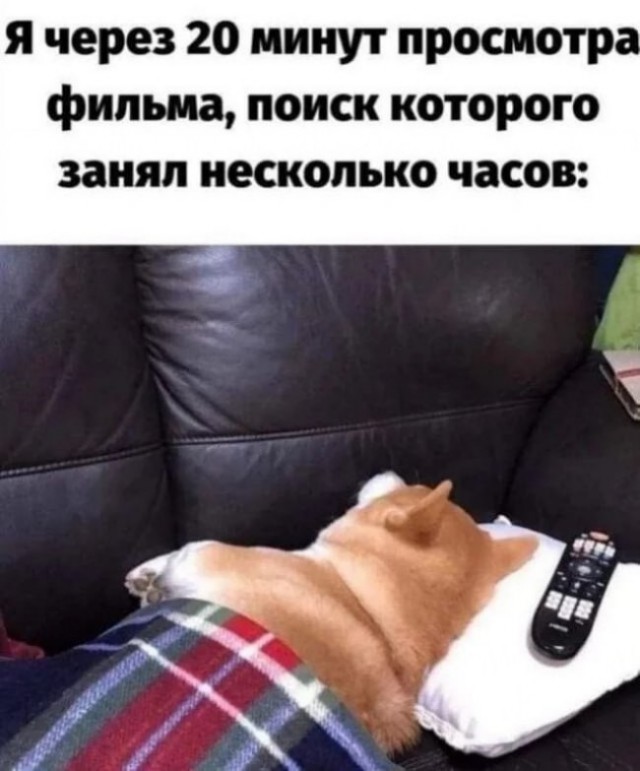 Всего понемногу. От 04.04.