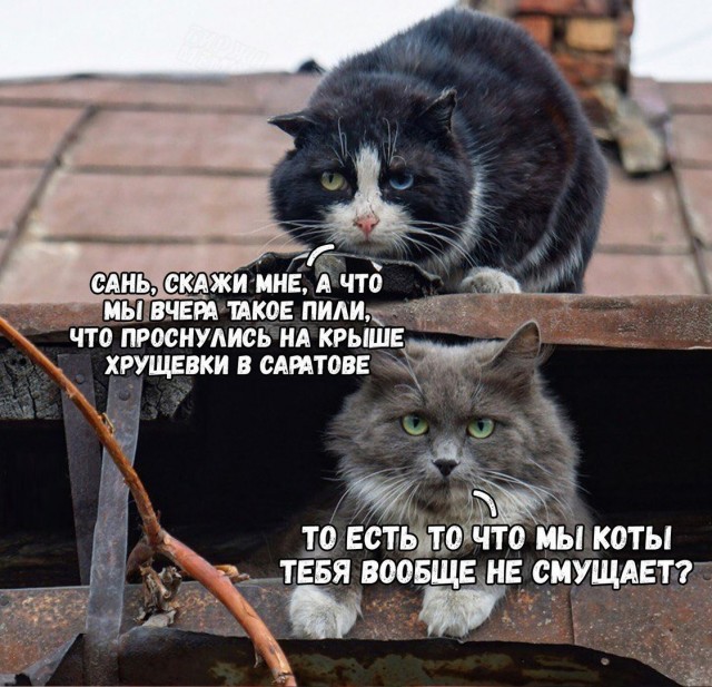 Игрушка