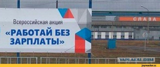 Распределение после вуза для бюджетников