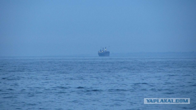 Крым в феврале или "Не стреляйте в белых лебедей!"