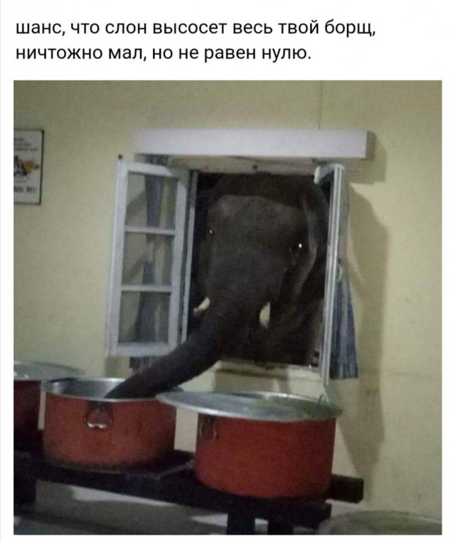 Народная меДИЧина 5009