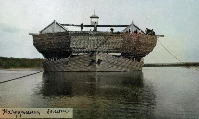 Беляны, уникальные волжские гиганты