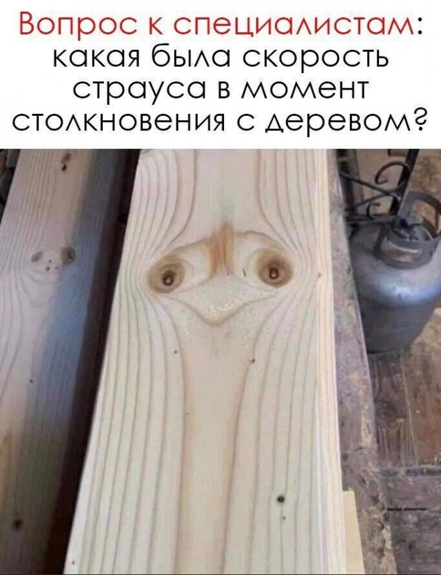Немного картинок разной степени новизны и адекватности