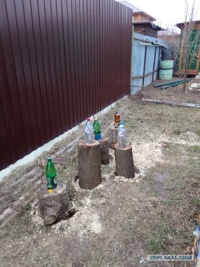 И снова про грибы