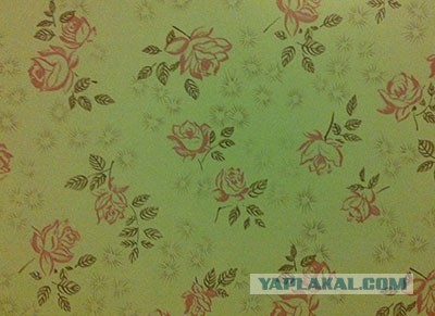 Как обновить кухню за 800 рублей