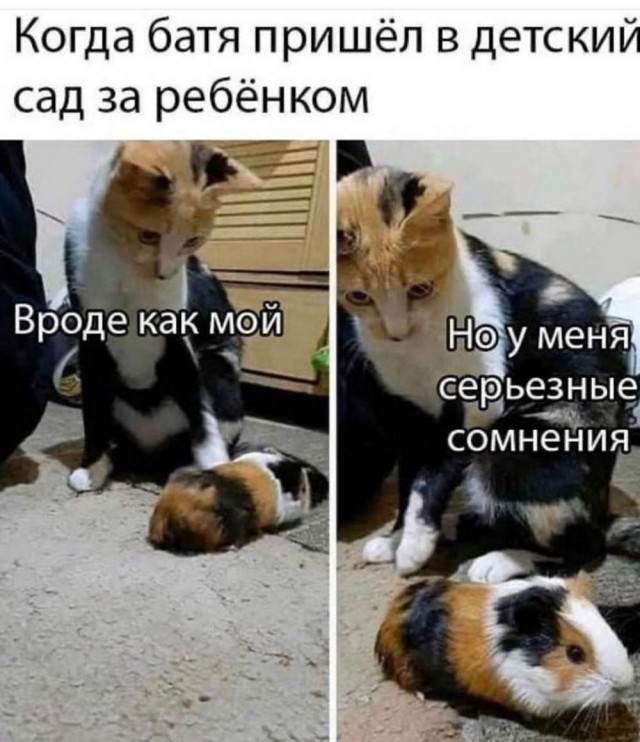 Отряд быстрого деградирования