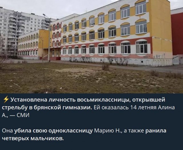 Дачный курятник