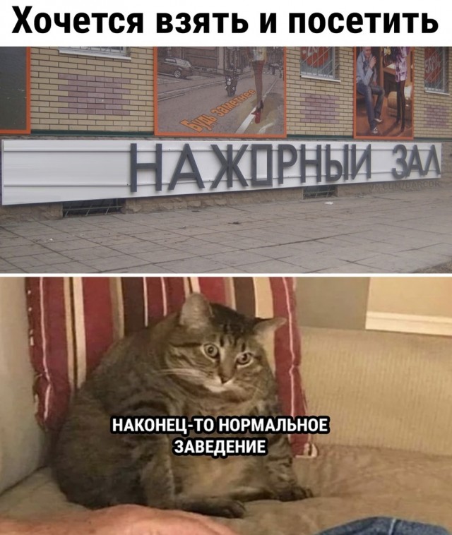 О лицемерии...⁠⁠