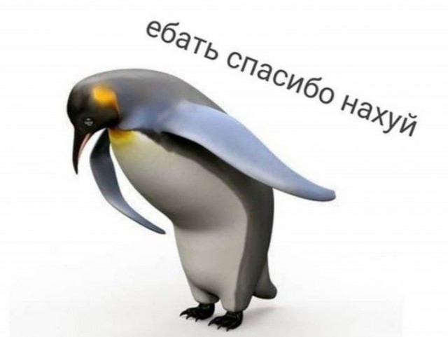 "Сбер", «Совкомбанк» и «Хоум банк» приняли решение списать все долги по кредитам клиентов, пострадавших в теракте в «Крокусе»
