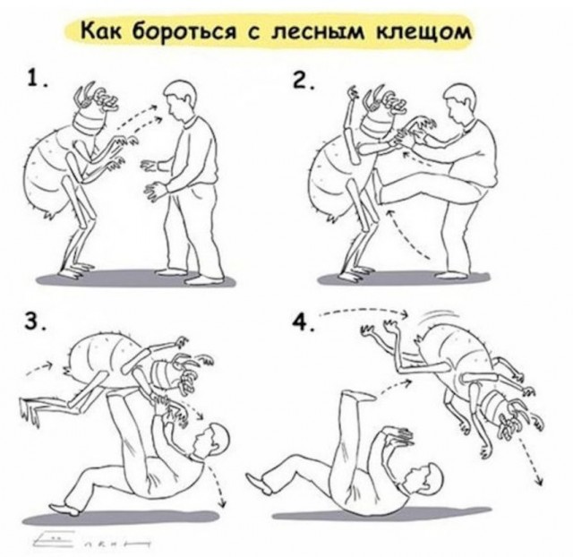 Секретный эксперимент 1972 года был признан успешным: почему на Урале и в Сибири появились клещи