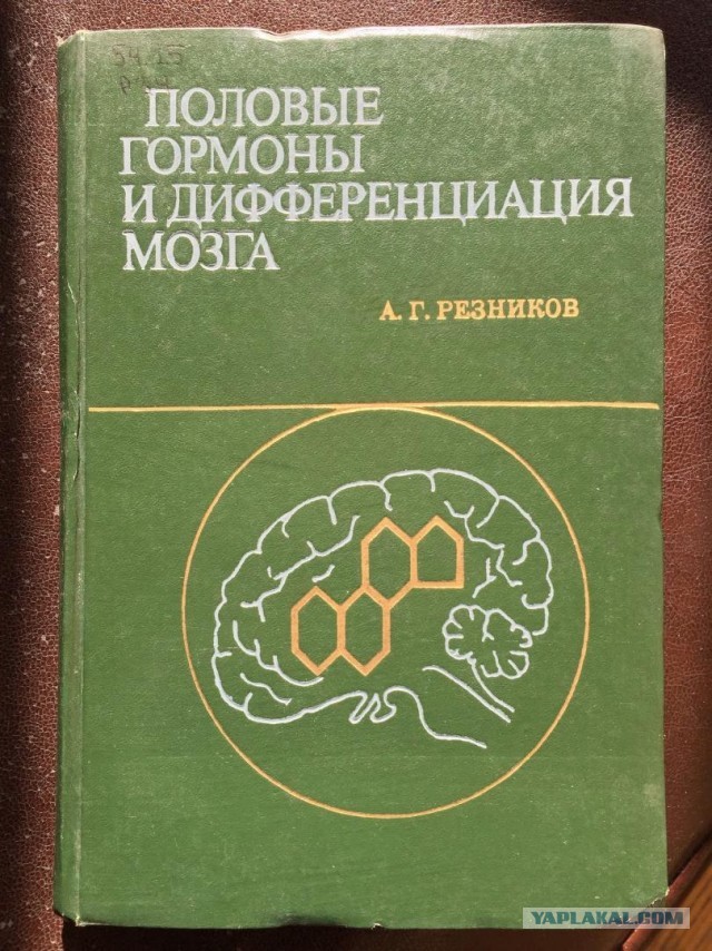 Правительство Перу официально классифицировало трансгендеров, небинарных и интерсексуальных людей как «психически больных»