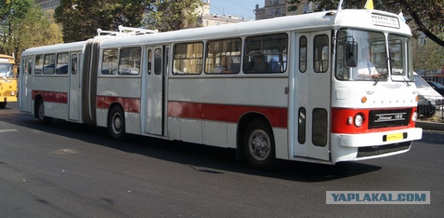 Просто ламповые фото Ikarus, разные