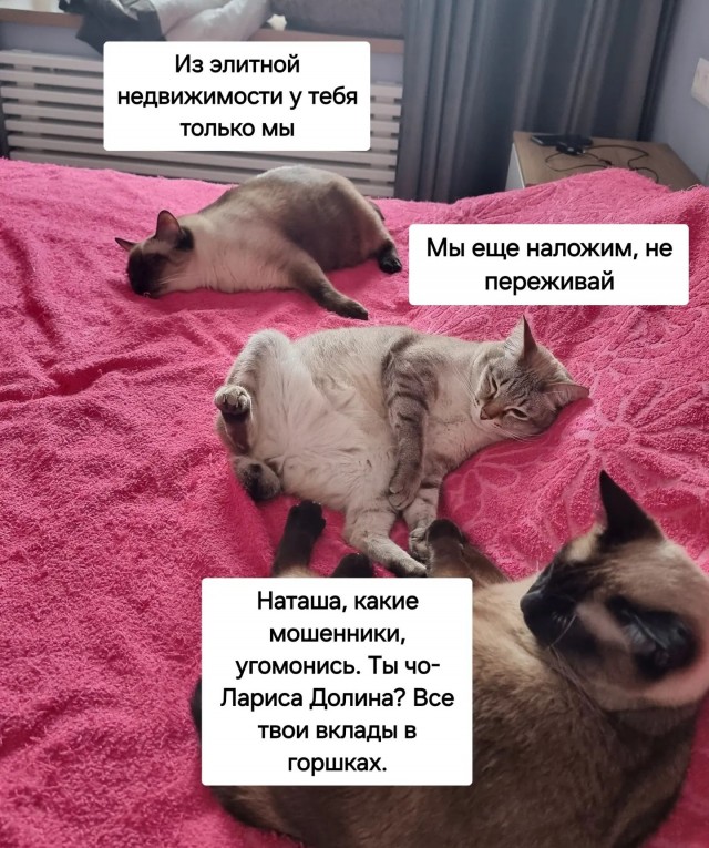 Завалялось тут случайно немного забавных картинок