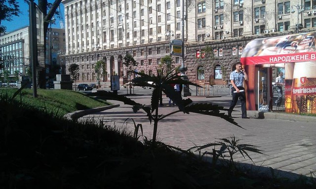 В Киеве на Крещатике