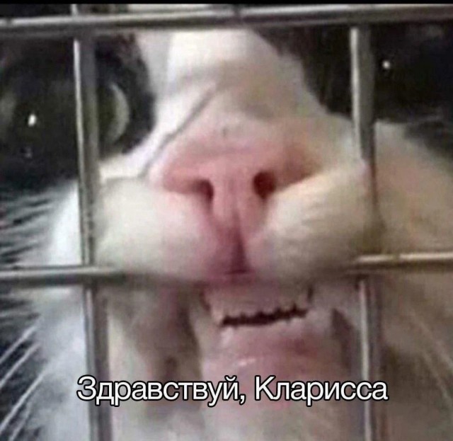 Так себе картинки 28.08.24