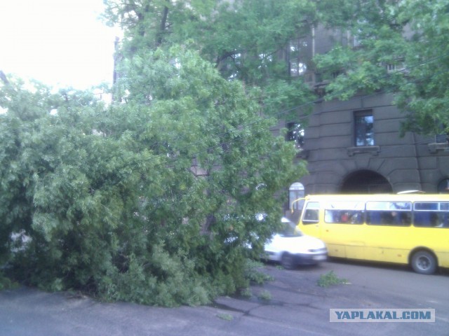 Ураган в Одессе