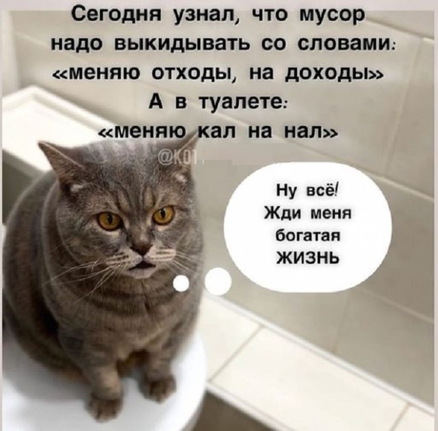 Картинки разные с надписями и без