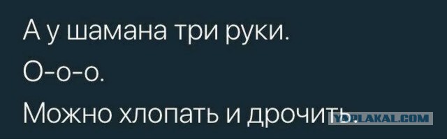 Баяны с распродажи