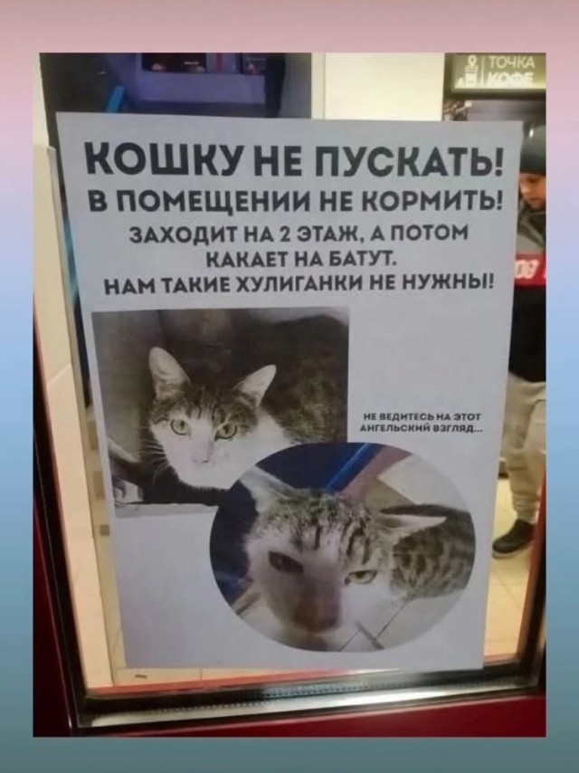 Завалялось тут случайно немного забавных картинок