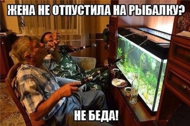 Так себе картинки 15.05.25