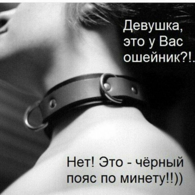 Пятничные 100м2 дичи