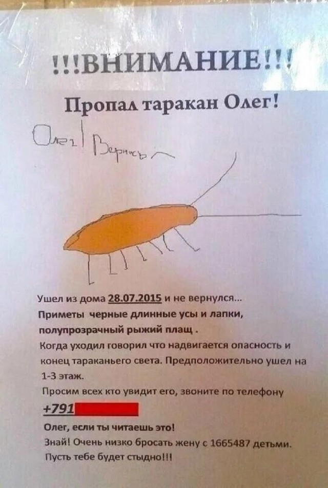 Так себе картинки 14.09.25