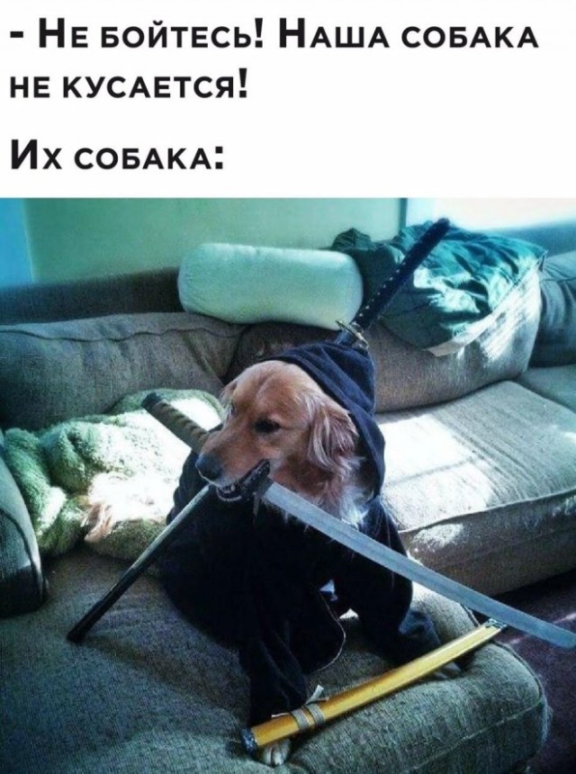Картиночки, баянчики 09 февраля