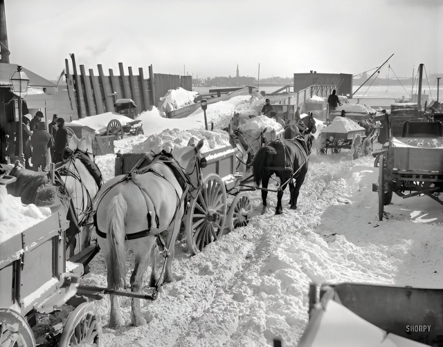 Редкие кадры и архивные снимки 18.02.26