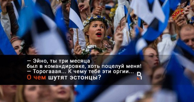 Про уличных собак и кошек