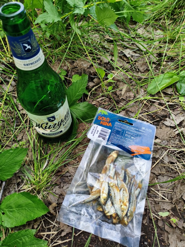 Как я на шашлыки пошёл.