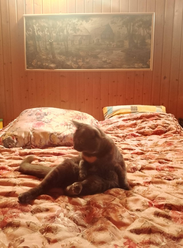 Просто так.