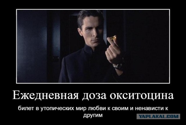 Почему собачники злее собак?