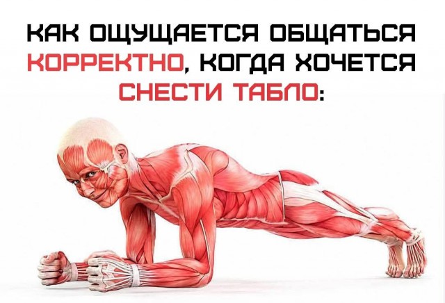 Картинки для деградации 254 (разной степени сежести)