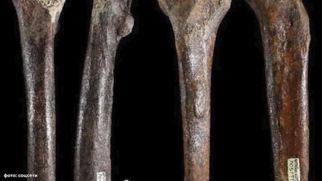 Останки древних людей — денисовцев — обнаружили на дне пролива Пэнху в Тайване.
