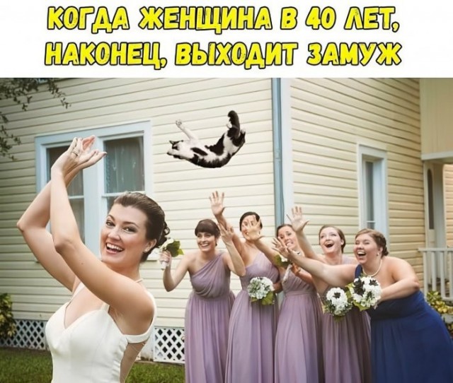 Веселые картинки в пятницу (25.09)