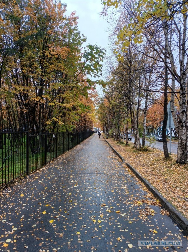 Осеннее