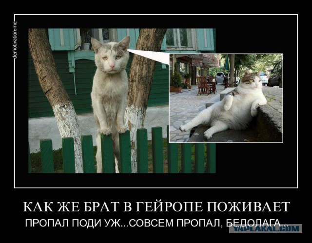 Тоталитарный и нетерпимый пост.
