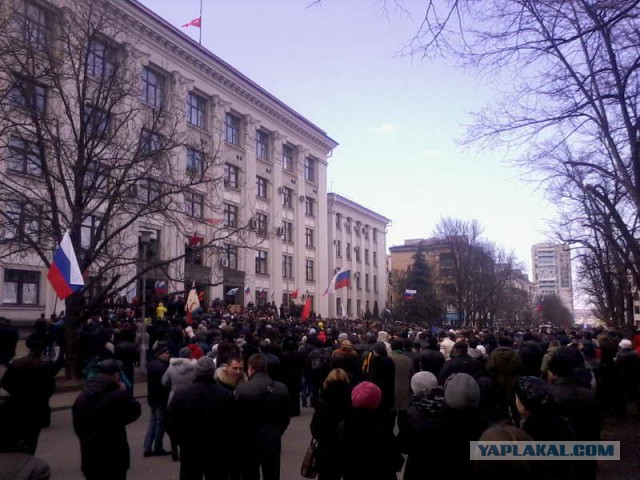 Посвящаю дезинформаторам! Разогнали!