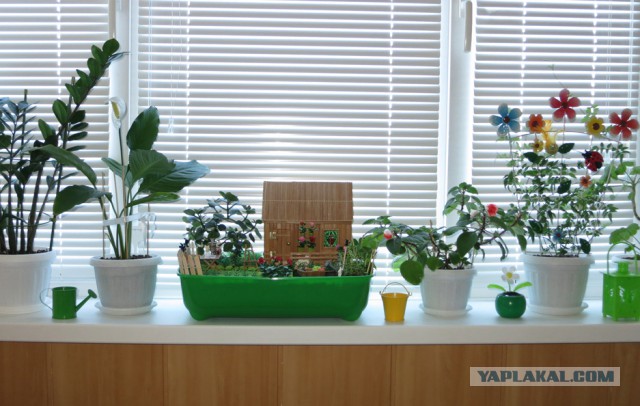 Кукольная миниатюра