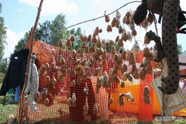 Пустые холмы 2011