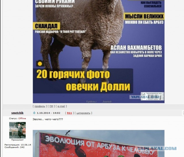 Подборка весёлых картинок