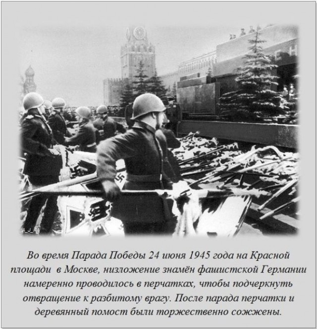 20 фактов обо всем